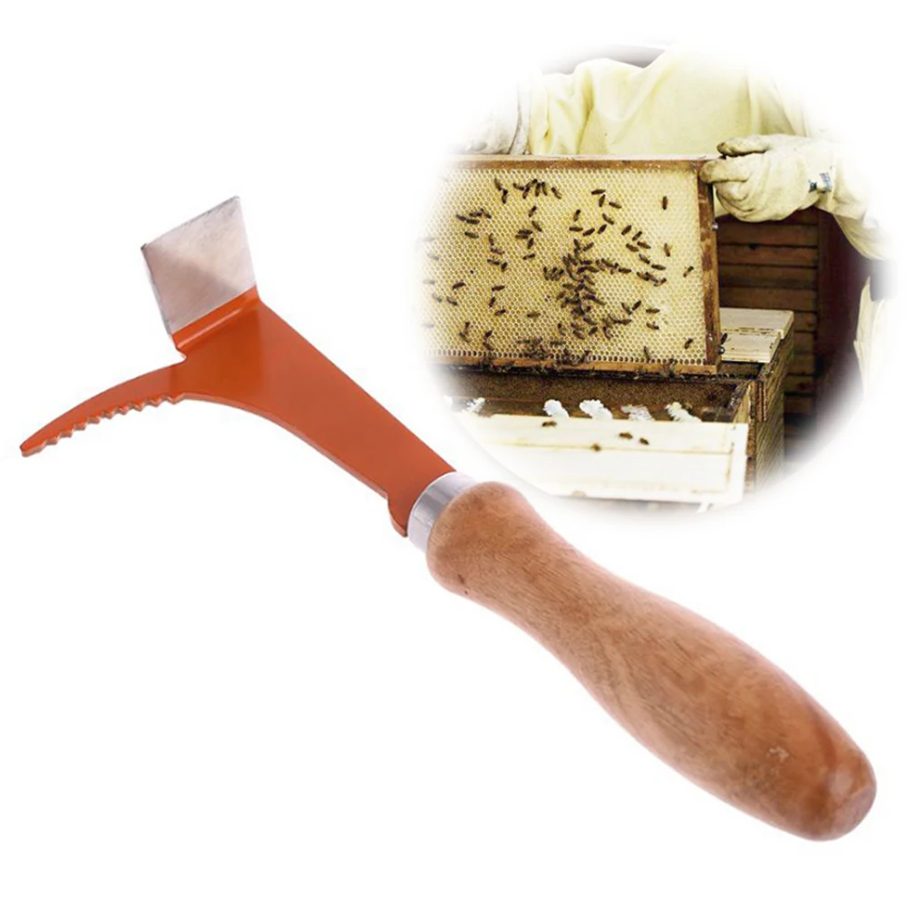 1Pc Stainless Steel Bee Scraper Beehive Scraper Knife For Apiculture Multifunctional Uncapping Beekeeping Tools
1Pc Stainless Steel Bee Scraper Beehive Scraper Knife For Apiculture Multifunctional Uncapping Beekeeping Tools