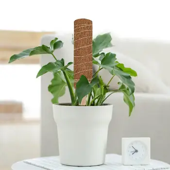 Gardening Plant Support Connecting Coir Totem Pole Vines Climbing Plant Support Stakes Connector Agriculture Tools Moss Stick
Gardening Plant Support Connecting Coir Totem Pole Vines Climbing Plant Support Stakes Connector Agriculture Tools Moss Stick
