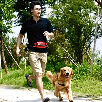 Pet Dog Cat Running Jogging Padded Waist Belt Tailup Reflective Strip Elastic Leash Walking Training Dog Leash Set Hands Free
Pet Dog Cat Running Jogging Padded Waist Belt Tailup Reflective Strip Elastic Leash Walking Training Dog Leash Set Hands Free