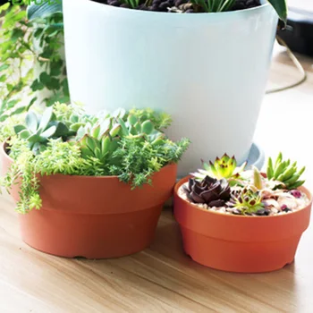 Succulent Flower Pot Mini Potted Plants Planters Office Decoration Garden Home Accessories HUG-Deals
Succulent Flower Pot Mini Potted Plants Planters Office Decoration Garden Home Accessories HUG-Deals