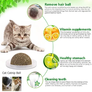 1Pcs Catnip Matatabi Ball,100% Organic Pet Cat Safe Cat Treat Ball, Catnip Molar Cleaning Teeth Natural
1Pcs Catnip Matatabi Ball,100% Organic Pet Cat Safe Cat Treat Ball, Catnip Molar Cleaning Teeth Natural