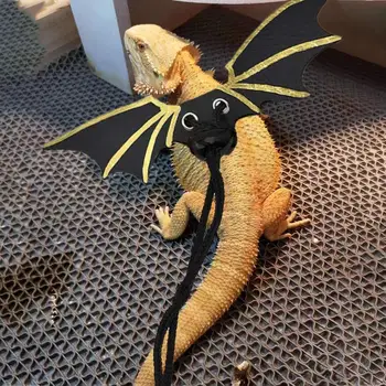 Reptile Lizard Harness Leash Adjustable Funny Pet Lizard Harness Leash Small Animals Dragon Wing Small Reptile Cosplay Harness
Reptile Lizard Harness Leash Adjustable Funny Pet Lizard Harness Leash Small Animals Dragon Wing Small Reptile Cosplay Harness