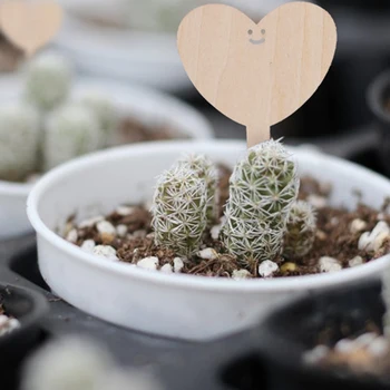 50pcs Nursery Pots Reusable Garden Markers Handwritten Sign Seedling Tags Classification Tool Bonsai Wood Plant Labels Flowers
50pcs Nursery Pots Reusable Garden Markers Handwritten Sign Seedling Tags Classification Tool Bonsai Wood Plant Labels Flowers