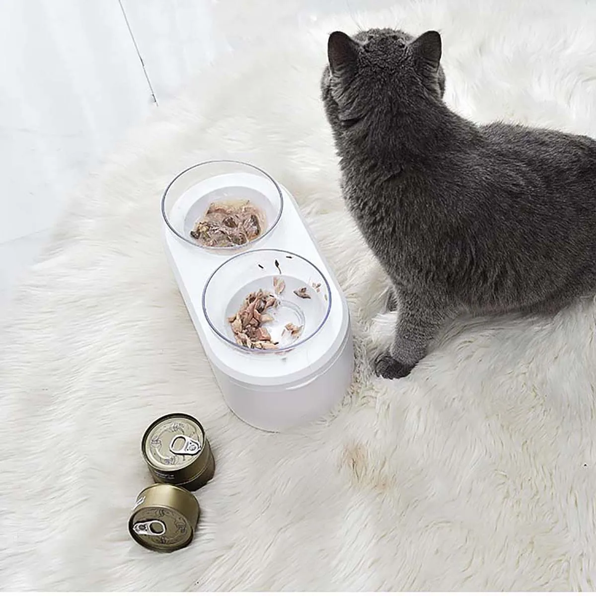 Pet Feeding Bowl Image