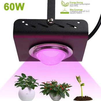Grow Light 300W High Luminous Efficiency Growing Lamp for Plants Phytolamp for Indoor Grow Box Greenhouses 
Grow Light 300W High Luminous Efficiency Growing Lamp for Plants Phytolamp for Indoor Grow Box Greenhouses