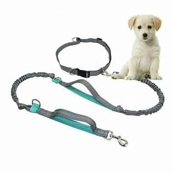 Hands-Free Dog Leash Adjustable Waist Belt for Running Walking Hiking Jogging Biking Training
Hands-Free Dog Leash Adjustable Waist Belt for Running Walking Hiking Jogging Biking Training