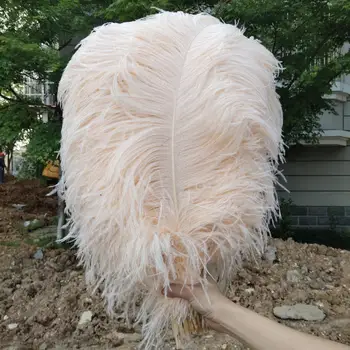 Hot 50 pcs High Quantity Champagne 24-26inch/60-65cm "thick Stem" Male Ostrich Feathers DIY Jewelry Craft Making Decoration
Hot 50 pcs High Quantity Champagne 24-26inch/60-65cm "thick Stem" Male Ostrich Feathers DIY Jewelry Craft Making Decoration