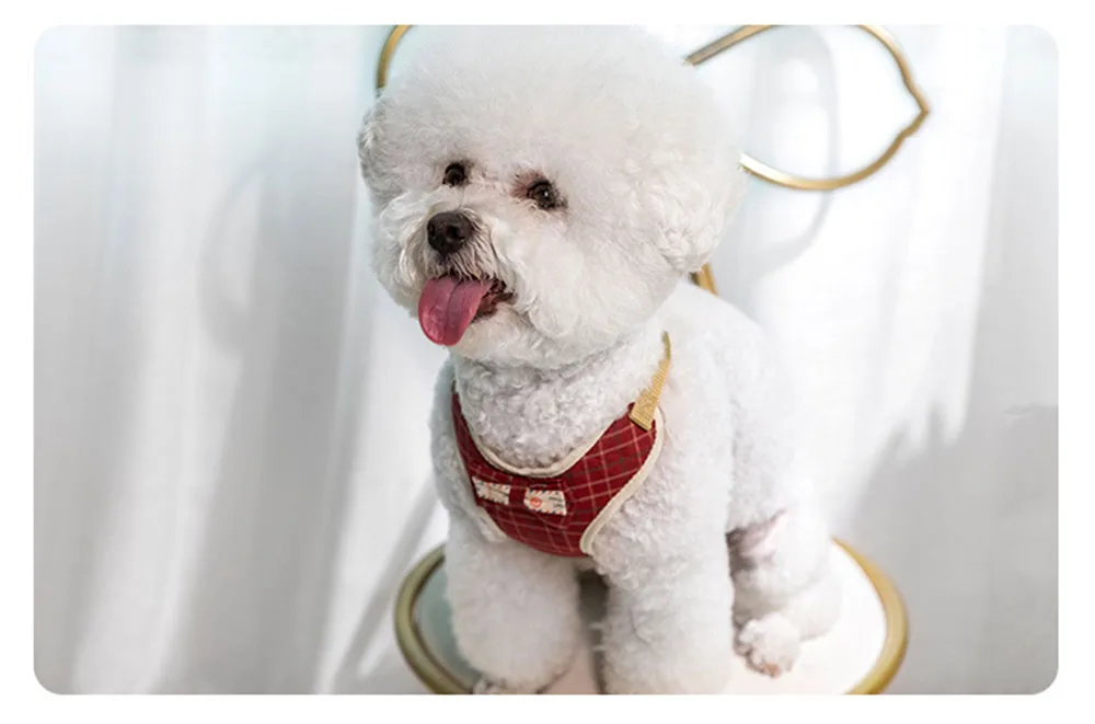Small dog harness set