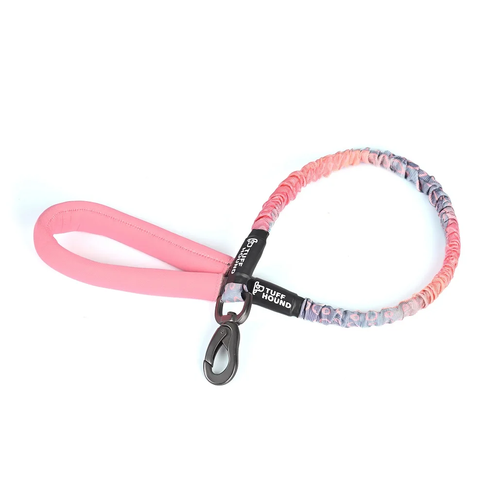 Durable Solid elastic Nylon Dog Leash With Soft Non-slip Foam Handle For Medium Large Dogd Outdoor Walking
Durable Solid elastic Nylon Dog Leash With Soft Non-slip Foam Handle For Medium Large Dogd Outdoor Walking