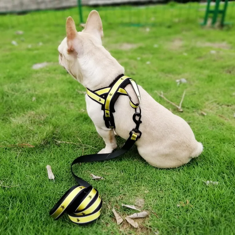 Synthetic Fibers Dog Collar Training Costume Vest For Dog French Bulldog Adjustable Escape Proof Striped Pet Harness And Leash
Synthetic Fibers Dog Collar Training Costume Vest For Dog French Bulldog Adjustable Escape Proof Striped Pet Harness And Leash