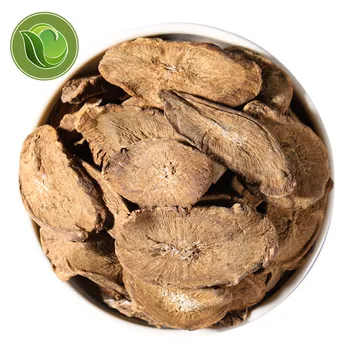Organic Dried Gold Burdock Root Health Herbal
Organic Dried Gold Burdock Root Health Herbal