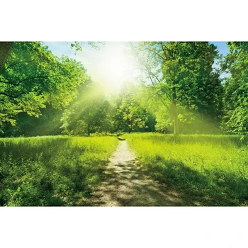 Spring Forest Park Tree Grassland Nature Scenery Birthday Backdrop Photography Background For Photo Studio Vinyl Photophone Prop
Spring Forest Park Tree Grassland Nature Scenery Birthday Backdrop Photography Background For Photo Studio Vinyl Photophone Prop