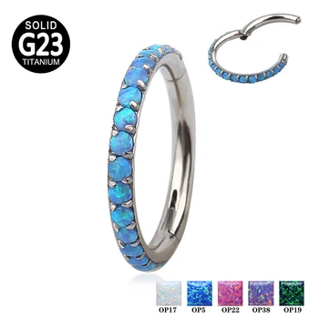 G23 Titanium Hinged Segment Clicker Hoop Nose Ring Opal Stone Ear Cartilage Tragus Helix Lip Piercing Body Jewelry Wholesale
G23 Titanium Hinged Segment Clicker Hoop Nose Ring Opal Stone Ear Cartilage Tragus Helix Lip Piercing Body Jewelry Wholesale