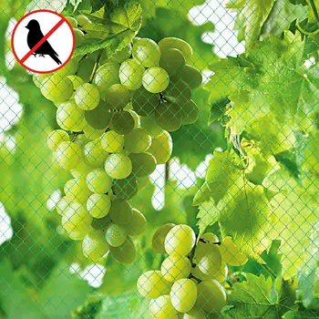 New PE Anti Bird Netting Pond Fruit Tree Vegetables Net Protection Crops Flower Garden Mesh Protect Net Pest Control
New PE Anti Bird Netting Pond Fruit Tree Vegetables Net Protection Crops Flower Garden Mesh Protect Net Pest Control