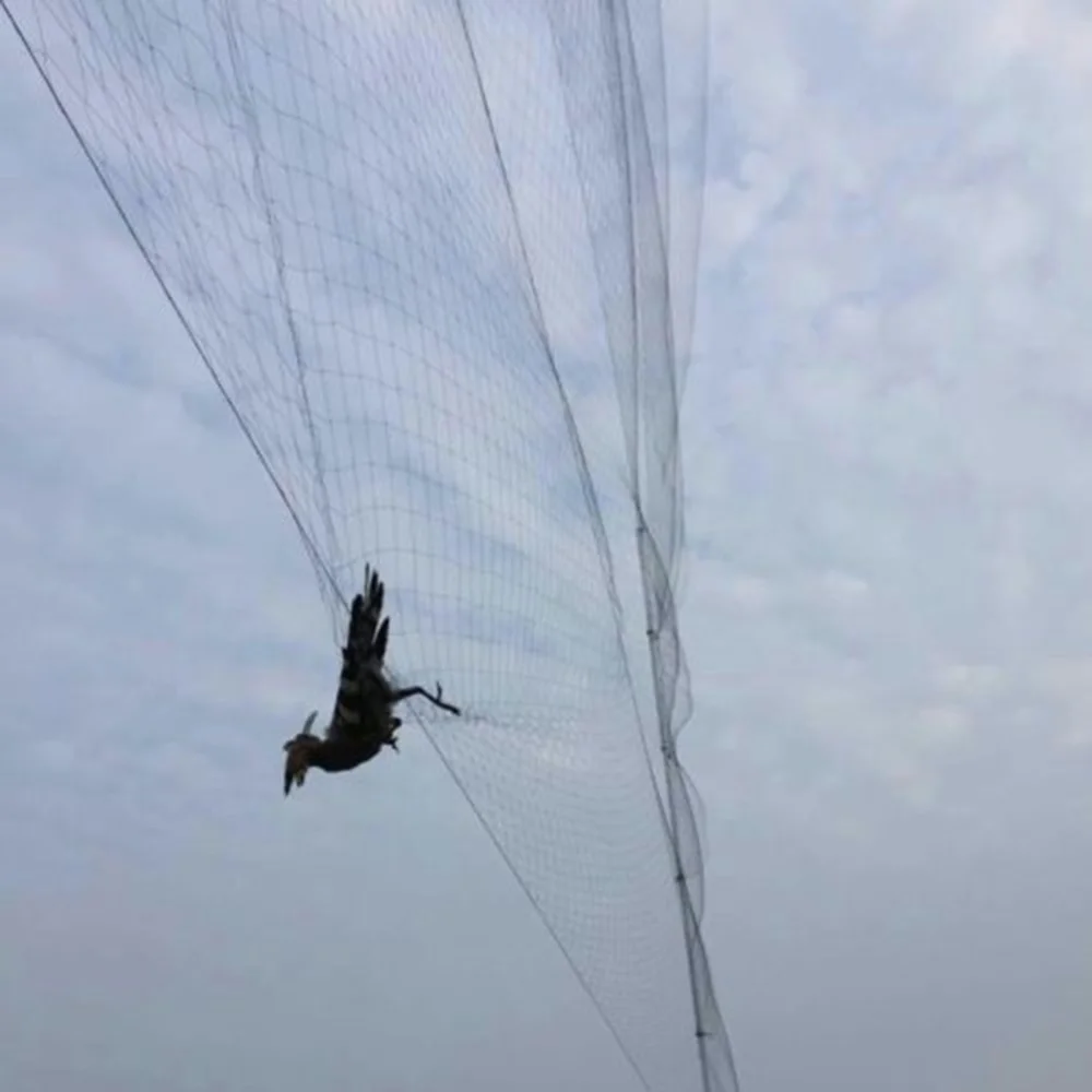 Hot Anti Bird Net Nylon Crop Netting Mesh Garden Fruit Plant Tree Pond Protection Netting Vegetable Care Garden Tools Supplies
Hot Anti Bird Net Nylon Crop Netting Mesh Garden Fruit Plant Tree Pond Protection Netting Vegetable Care Garden Tools Supplies