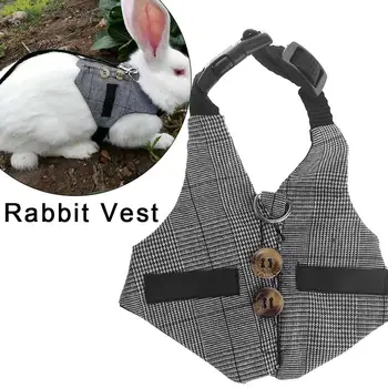 Small Pet Traction Rope Chest Strap Rabbit Vest Harness Adjustable Soft Harness Set with Button Decor for Bunny Small Animal
Small Pet Traction Rope Chest Strap Rabbit Vest Harness Adjustable Soft Harness Set with Button Decor for Bunny Small Animal