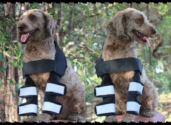 Pet Knee Brace Pad for Injuries Front Led Arthritis Prevent Dog Medical Surgical Protection Knee Brace Straps
Pet Knee Brace Pad for Injuries Front Led Arthritis Prevent Dog Medical Surgical Protection Knee Brace Straps