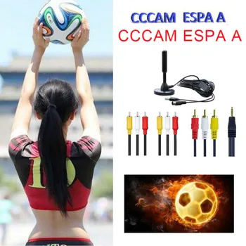 Satxtrem Stable Cccam ESPA A España Clines 8 LInes
Satxtrem Stable Cccam ESPA A España Clines 8 LInes