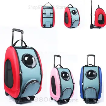 Portable Pet Stroller Hard Shell Waterproof and Breathable Dog Cat Carriage Not Easily Deformed for Outdoor Travel
Portable Pet Stroller Hard Shell Waterproof and Breathable Dog Cat Carriage Not Easily Deformed for Outdoor Travel