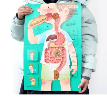 Book Encyclopedia Of Human Body For Toddlers Our Body Books Children's 3D Pop-up Flip Manga Comic Kids Libros Livros Livres Art