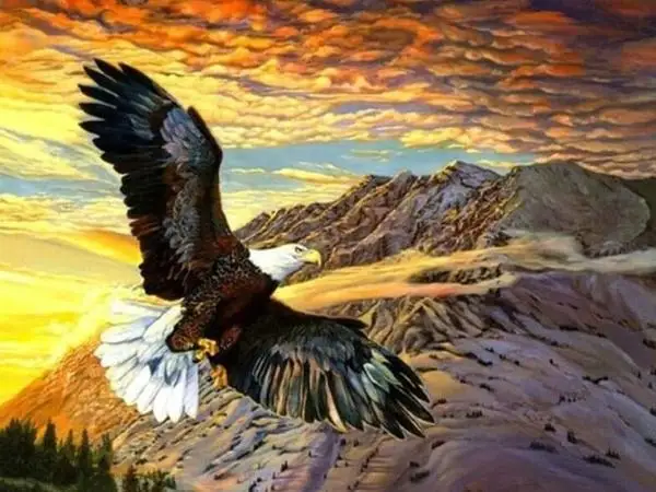 GATYZTORY Diamond Painting Eagle Cross Stitch Diamond Embroidery Sale Rhinestone Picture Animal Mosaic Kids Decor Gif
GATYZTORY Diamond Painting Eagle Cross Stitch Diamond Embroidery Sale Rhinestone Picture Animal Mosaic Kids Decor Gif