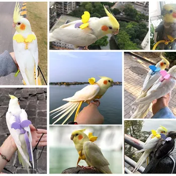 Parrot Flying Rope Parrot Bird Harness Flying Rope Adjustable Parrot Leash Pet Bird Outdoor Training Flying Strap Rope Supplies
Parrot Flying Rope Parrot Bird Harness Flying Rope Adjustable Parrot Leash Pet Bird Outdoor Training Flying Strap Rope Supplies