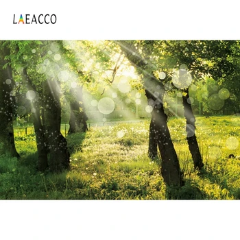 Laeacco Forest Trees Grassland Sunshine Light Bokeh Photography Backgrounds Customized Photographic Backdrops for Photo Studio
Laeacco Forest Trees Grassland Sunshine Light Bokeh Photography Backgrounds Customized Photographic Backdrops for Photo Studio