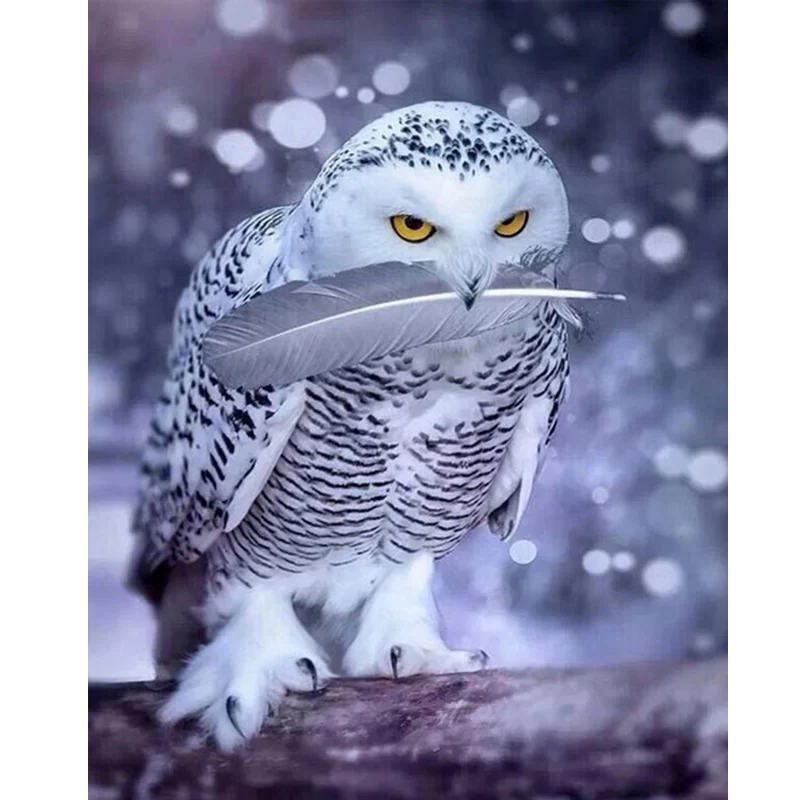5D Diamond Painting Owl Full Round Drill DIY Owl Diamond Embroidery Cross Stitch Rhinestones Home Decor Gift
5D Diamond Painting Owl Full Round Drill DIY Owl Diamond Embroidery Cross Stitch Rhinestones Home Decor Gift