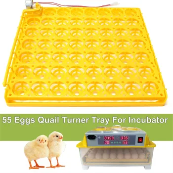 55 Eggs Incubator Turn Tray Chickens Incubator Automatically Turn Eggs Poultry Incubation Equipment with Motor 110V 2.5r/3r/min
55 Eggs Incubator Turn Tray Chickens Incubator Automatically Turn Eggs Poultry Incubation Equipment with Motor 110V 2.5r/3r/min