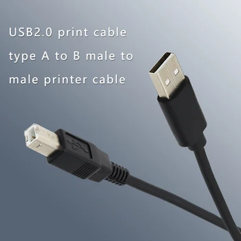HUIYOU USB 2.0 Print Cable USB Type A to B Male to Male Printer Cable For Canon Epson HP ZJiang Label Printer DAC USB Printer
HUIYOU USB 2.0 Print Cable USB Type A to B Male to Male Printer Cable For Canon Epson HP ZJiang Label Printer DAC USB Printer
