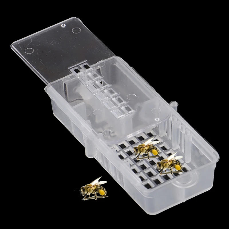 10Pcs Bee Tool Bee Transport Cages Beekeeping Equipment Queen House Beehive Bee Cage White transparent Bee Cage
10Pcs Bee Tool Bee Transport Cages Beekeeping Equipment Queen House Beehive Bee Cage White transparent Bee Cage