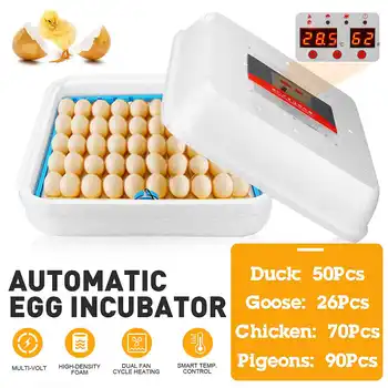 Farm Hatchery Incubator Automatic Chicken Egg Incubator Hatchery Equipment 70 Eggs Incubator Machine Chicken Duck Bird Brooder
Farm Hatchery Incubator Automatic Chicken Egg Incubator Hatchery Equipment 70 Eggs Incubator Machine Chicken Duck Bird Brooder