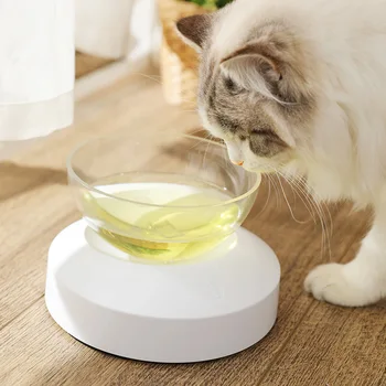 Pet Non-slip Transparent Plastic Pet Feeding Drinking Bowl Tilt Cat Dog Bowl Adjustable Oblique Cat Bowl Pet Supplies 
Pet Non-slip Transparent Plastic Pet Feeding Drinking Bowl Tilt Cat Dog Bowl Adjustable Oblique Cat Bowl Pet Supplies