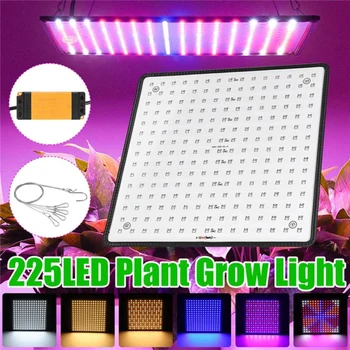 Grow Light 2000W 225 LED Grow Light Hydroponic Kits Growing Lamp Plant Veg Flower Indoor Lighting Grow Tent Phytolamp Plants
Grow Light 2000W 225 LED Grow Light Hydroponic Kits Growing Lamp Plant Veg Flower Indoor Lighting Grow Tent Phytolamp Plants