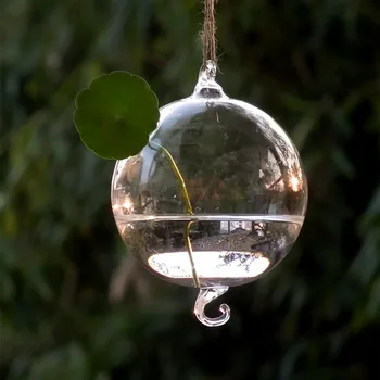 Free Shipping 2pcs/pack Diameter=10cm One-Hole Double-Hock Hanging Glass Terrarium Vase Home Wedding Decoration Ball Fish Bowl 
Free Shipping 2pcs/pack Diameter=10cm One-Hole Double-Hock Hanging Glass Terrarium Vase Home Wedding Decoration Ball Fish Bowl