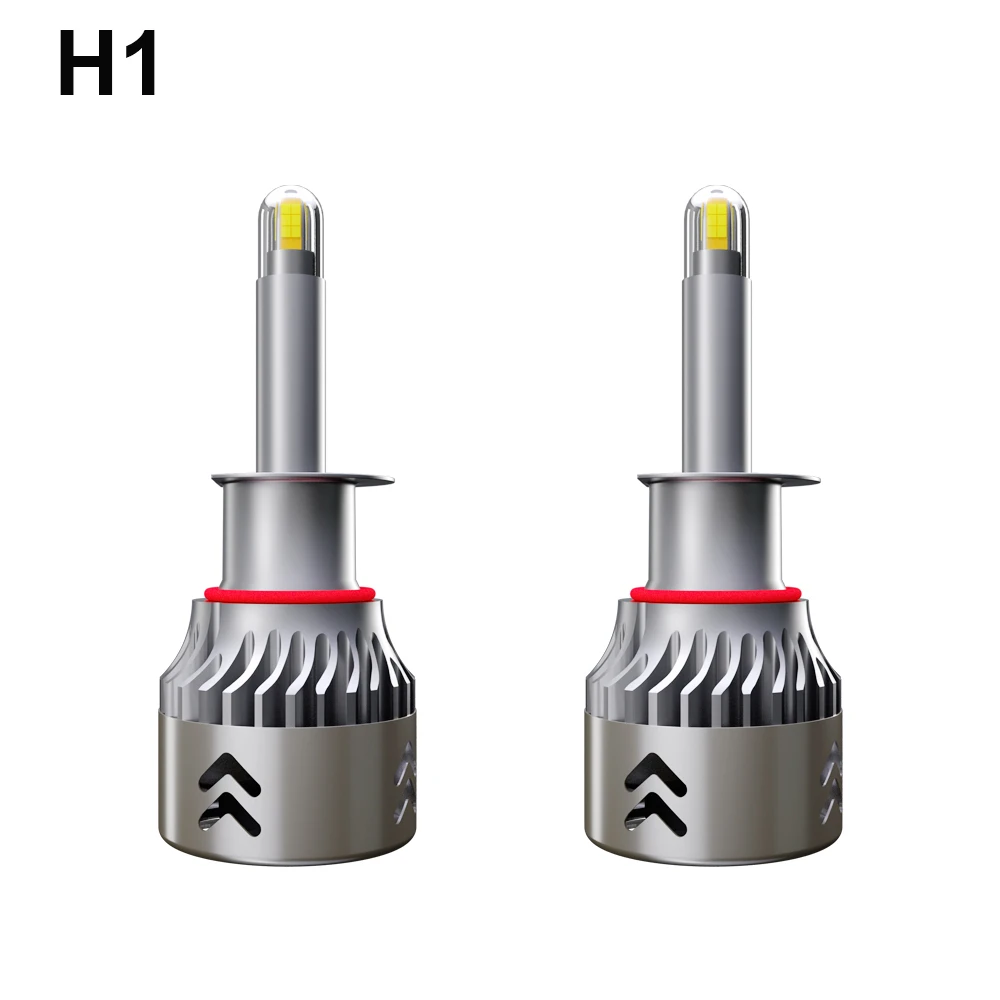H1