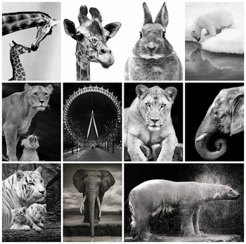 EverShine Diamond Painting Black White Elephant Diamond Embroidery Cross Stitch Animals Rhinestones Art Hobby Wall Decor
EverShine Diamond Painting Black White Elephant Diamond Embroidery Cross Stitch Animals Rhinestones Art Hobby Wall Decor