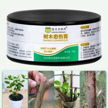 Newest Bonsai Pruning Cutting Paste Compound Tree Sealer Grafting Sealant for Garden Wound Treatment 
Newest Bonsai Pruning Cutting Paste Compound Tree Sealer Grafting Sealant for Garden Wound Treatment