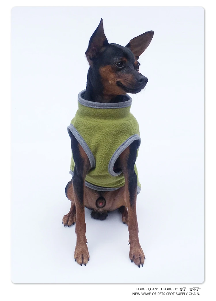 chihuahua puppy clothes uk