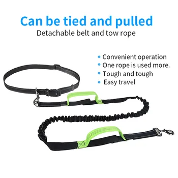 Outdoor Pet Dog Cat Running Waist Belt Reflective Strip Elastic Leash Rope Perfect Walking Training Dog Leash Set for Dogs
Outdoor Pet Dog Cat Running Waist Belt Reflective Strip Elastic Leash Rope Perfect Walking Training Dog Leash Set for Dogs