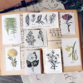 New 17Pcs/Pack Vintage Black White Plants Leaves Sticker DIY Craft Scrapbooking Album Junk Journal Planner Decorative Stickers 
New 17Pcs/Pack Vintage Black White Plants Leaves Sticker DIY Craft Scrapbooking Album Junk Journal Planner Decorative Stickers