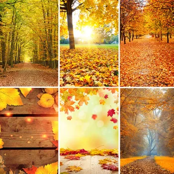 Autumn Yellow Light Bokeh Maple Fallen Leave Tree Baby Portrait Wedding Party Photo Background Photography Backdrop Photo Studio
Autumn Yellow Light Bokeh Maple Fallen Leave Tree Baby Portrait Wedding Party Photo Background Photography Backdrop Photo Studio