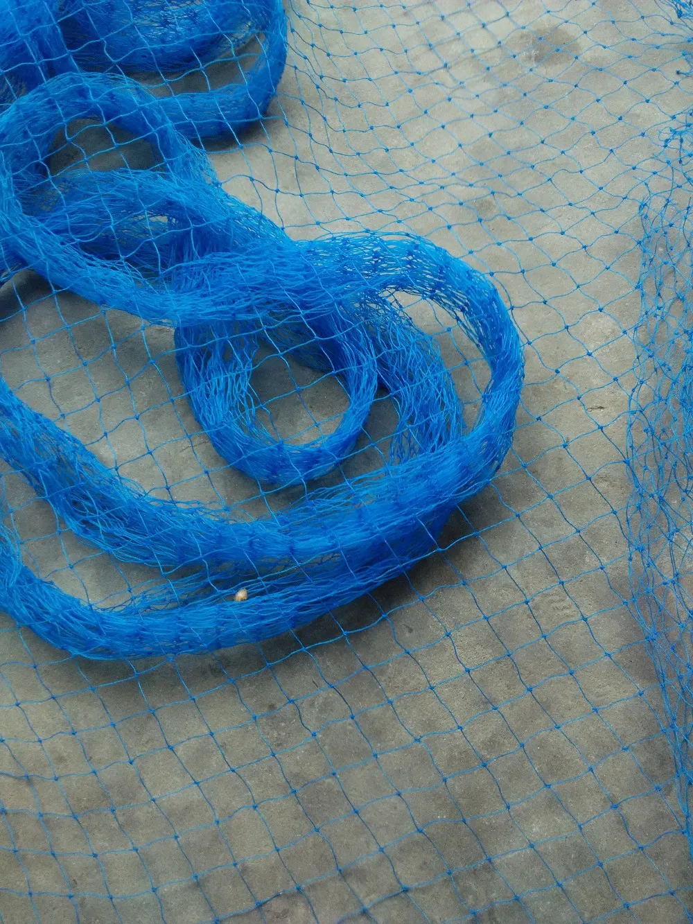 10m Blue plastic mesh Wholesale garden fence mesh Plant vines climbing net A fence mesh Poultry breeding pheasant chicken fence
10m Blue plastic mesh Wholesale garden fence mesh Plant vines climbing net A fence mesh Poultry breeding pheasant chicken fence