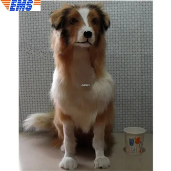 18" Animal Props Simulation The Pet Dog Collie Companion Dog Collie-rough Coated Shetland Sheepdog Border Collie PE 46CM Z2446
18" Animal Props Simulation The Pet Dog Collie Companion Dog Collie-rough Coated Shetland Sheepdog Border Collie PE 46CM Z2446