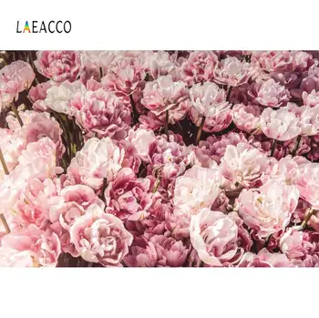 Laeacco Flowers Wall Gradient Spring Garden Home Decor Party Backgrounds Photography Customize Backdrops Props For Photo Studio
Laeacco Flowers Wall Gradient Spring Garden Home Decor Party Backgrounds Photography Customize Backdrops Props For Photo Studio