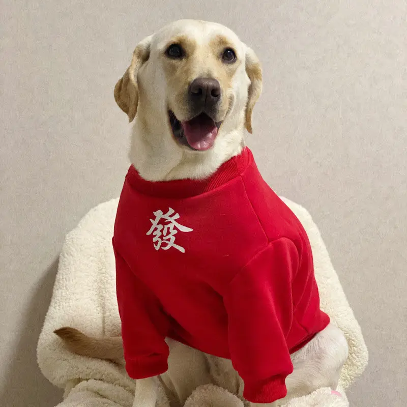 Big Dog Clothes New Year Autumn Winter Spring Pets Clothes Labrador Golden Retriever Medium Large Dogs Festive Eve Clothes
Big Dog Clothes New Year Autumn Winter Spring Pets Clothes Labrador Golden Retriever Medium Large Dogs Festive Eve Clothes