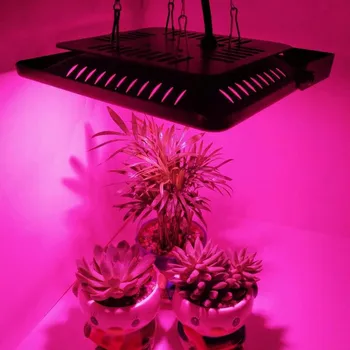 Full Spectrum Light 50W Hydroponic LED Grow Lamp Indoor Plants Outdoor Greenhouse Lighting IP67 Waterproof 120/240V 50/60Hz 67 
Full Spectrum Light 50W Hydroponic LED Grow Lamp Indoor Plants Outdoor Greenhouse Lighting IP67 Waterproof 120/240V 50/60Hz 67
