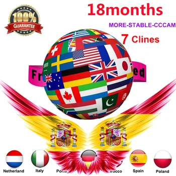 Cccam cline for 1 year Europe Cccam Spain Portugal poland 7 lines Oscam cline Germany for Gtmedia V8 Nova Satellite tv receiver
Cccam cline for 1 year Europe Cccam Spain Portugal poland 7 lines Oscam cline Germany for Gtmedia V8 Nova Satellite tv receiver