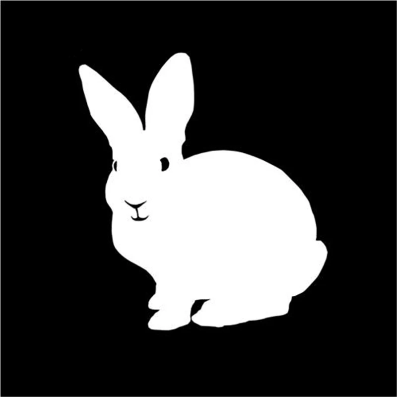 DAWASARU Wise Rabbit Decal Vinyl Cute Animal Car Sticker Car-styling for Truck Window Bumper Laptop Waterproof Custom 14*13CM | Автомобили