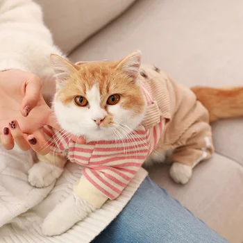 cat clothes short Garfield puppet kittens adult cats short legs pet cats autumn pet clothes autumn and winter quadrupeds BB5WY37
cat clothes short Garfield puppet kittens adult cats short legs pet cats autumn pet clothes autumn and winter quadrupeds BB5WY37